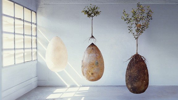 Photo of three Capsula Mundi pods hanging in an empty room.