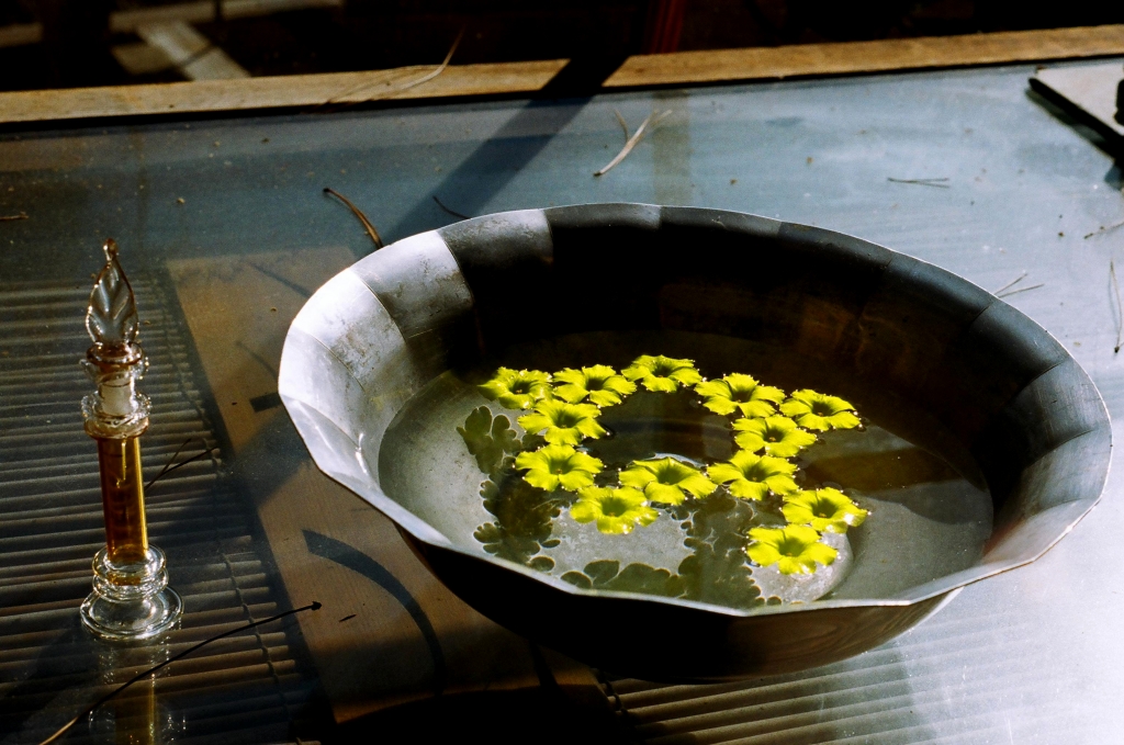 A brown bowl of water with yellow flowers floating in it, sits on top of a wooden table