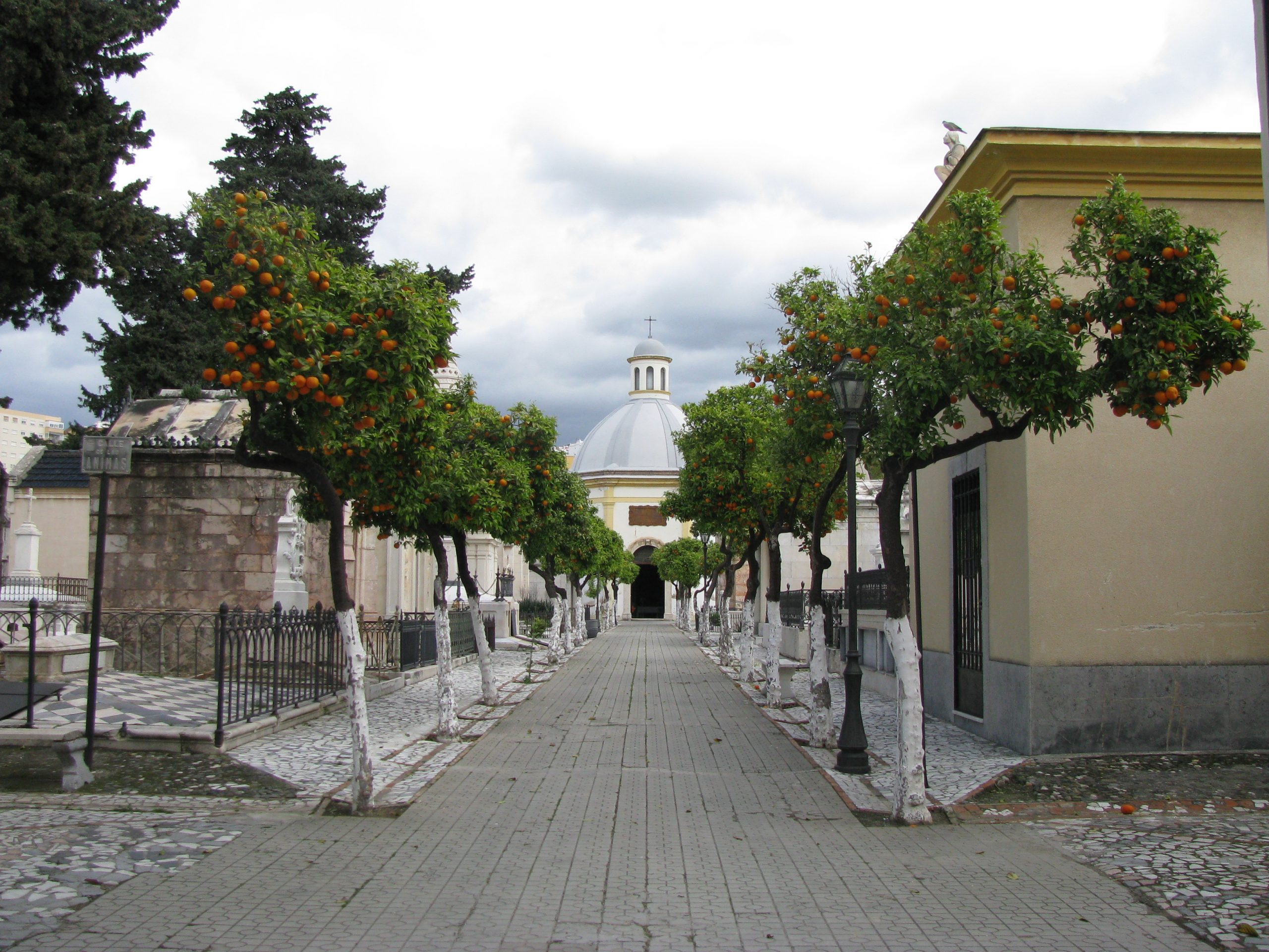 Entrance to San Miguel