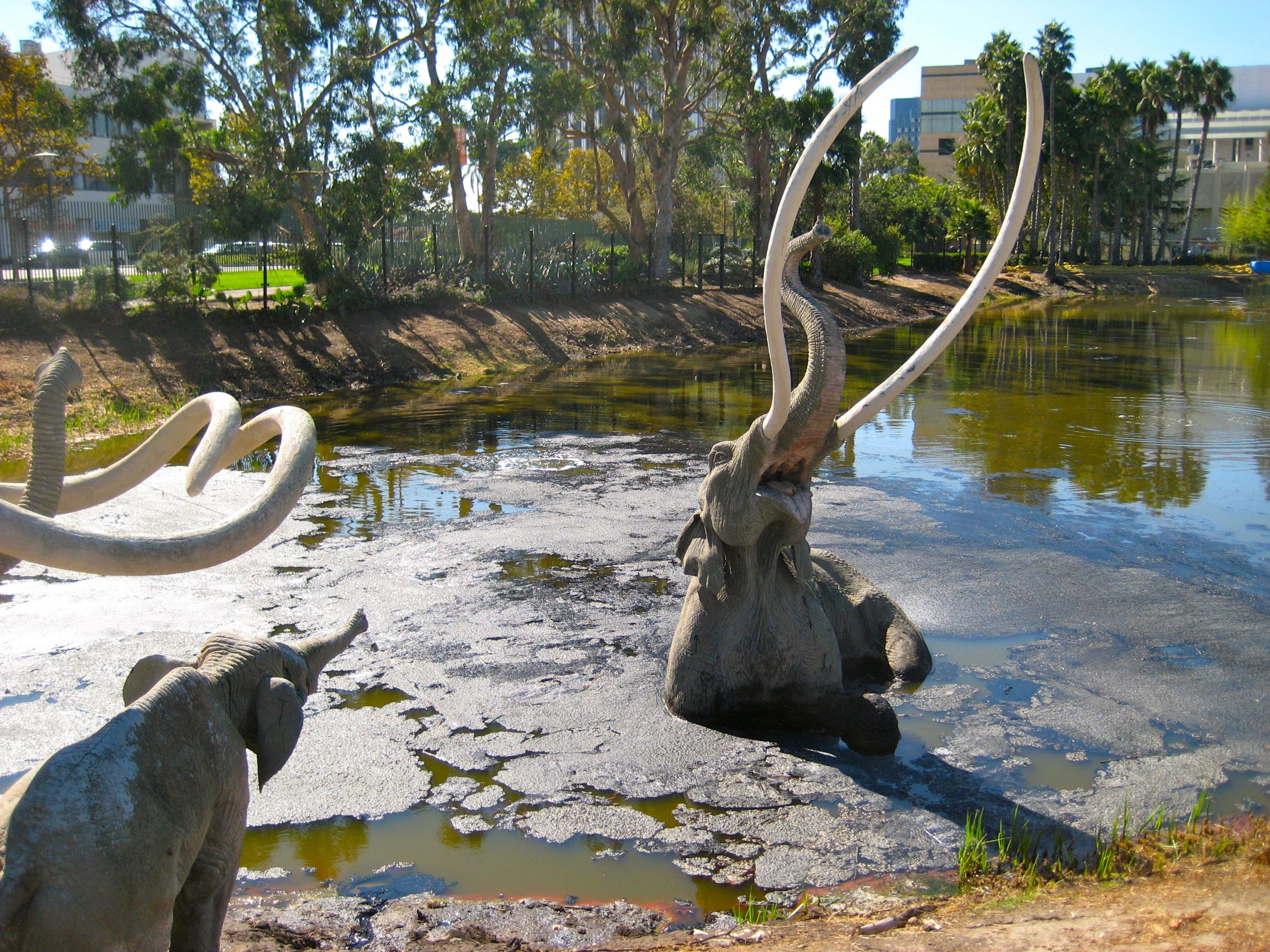 Deathstination The LaBrea Tar Pits The Order Of The Good Death