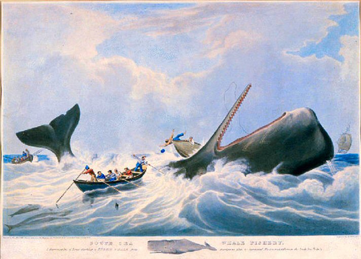South+Sea+Whale+Fishery+1834