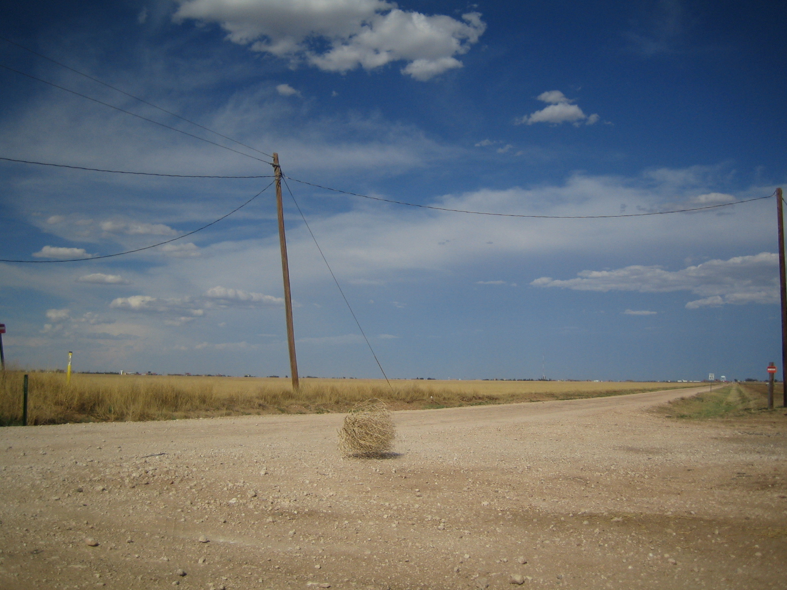 Tumbleweed rolling