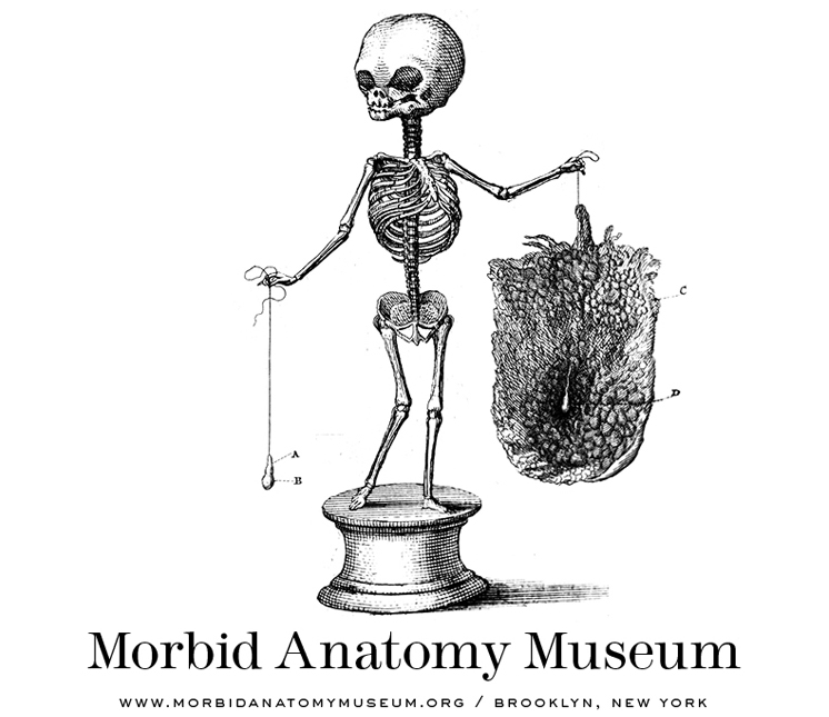 morbid-anatomy-museum