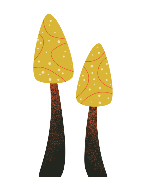 Illustration of two yellow capped mushrooms