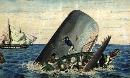 whale-vs-fisherman