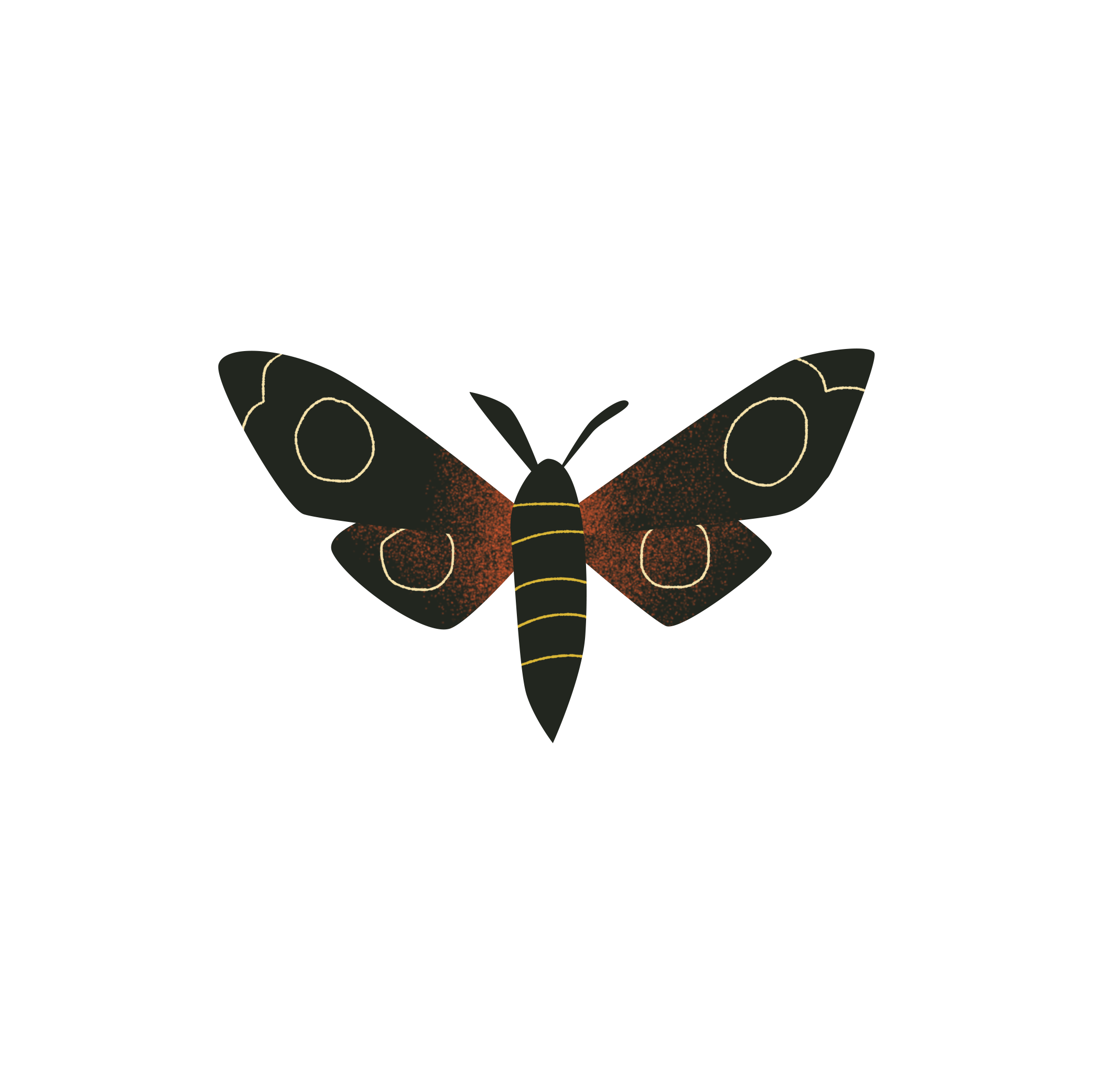 Black moth