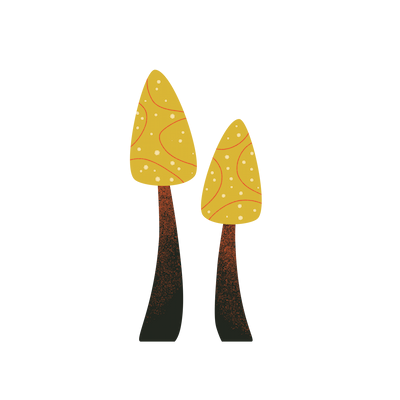 Two mushrooms