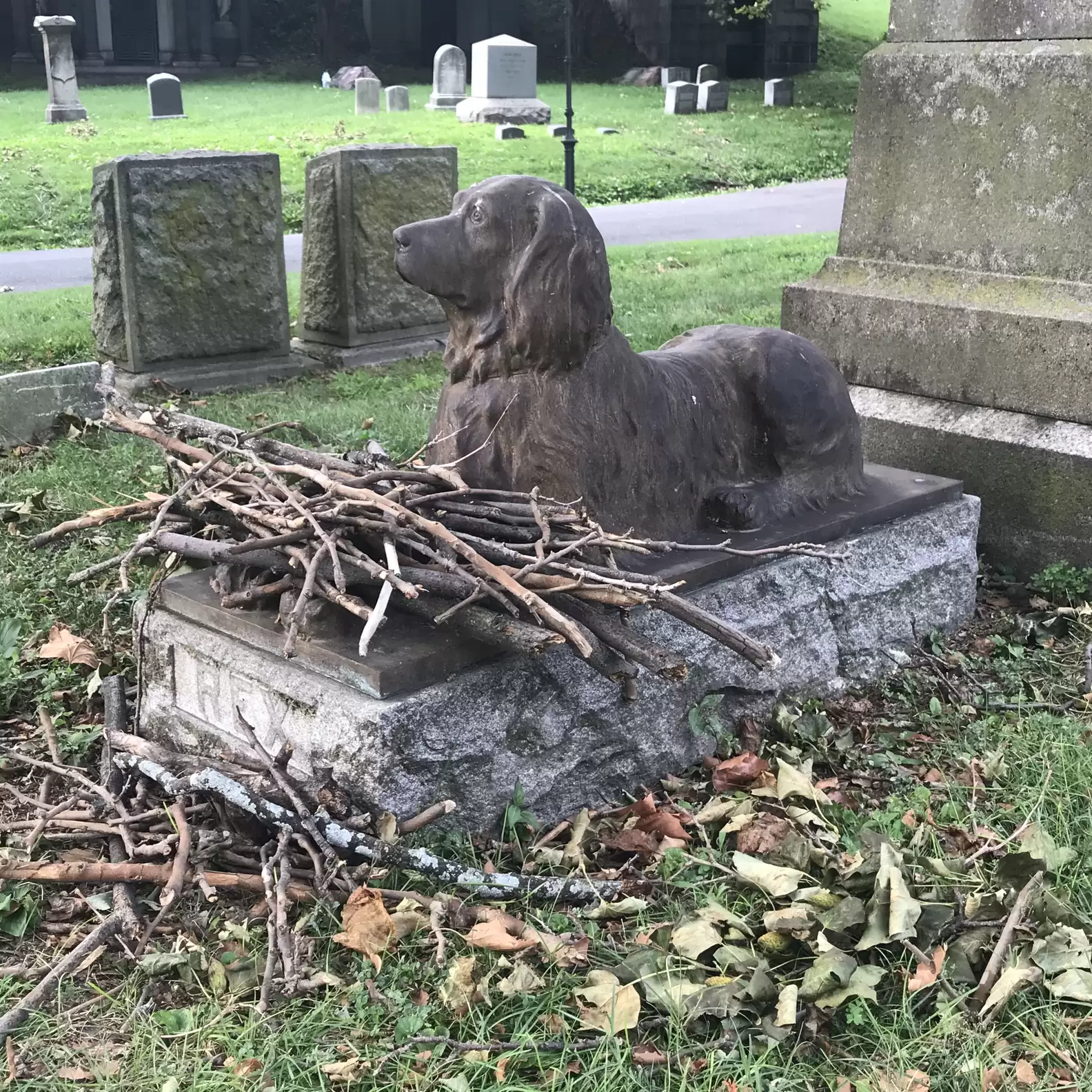 A bronze statue of a dog with a large pile of sticks on its paws.