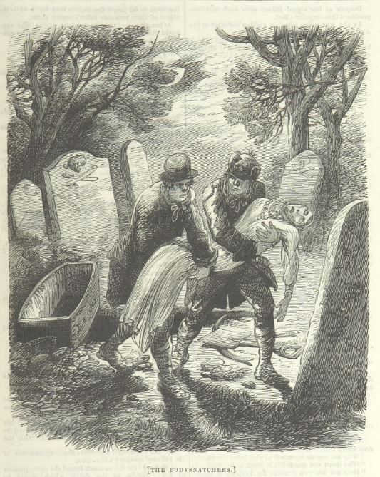 Illustration titled The Body Snatchers, features two men in a cemetery carrying a corpse. Next to them sits an empty coffin.