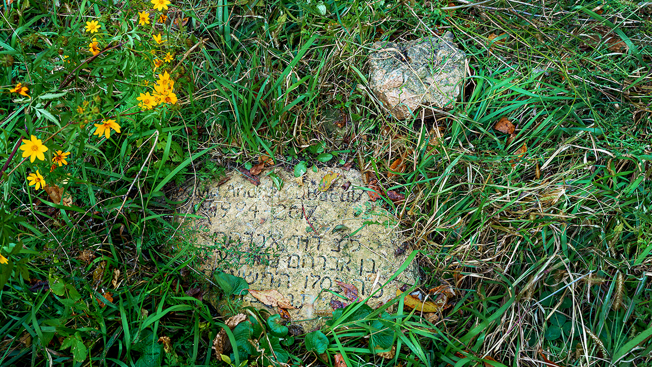 A stone grave marker lays on a field of long grass with yellow wildflowers