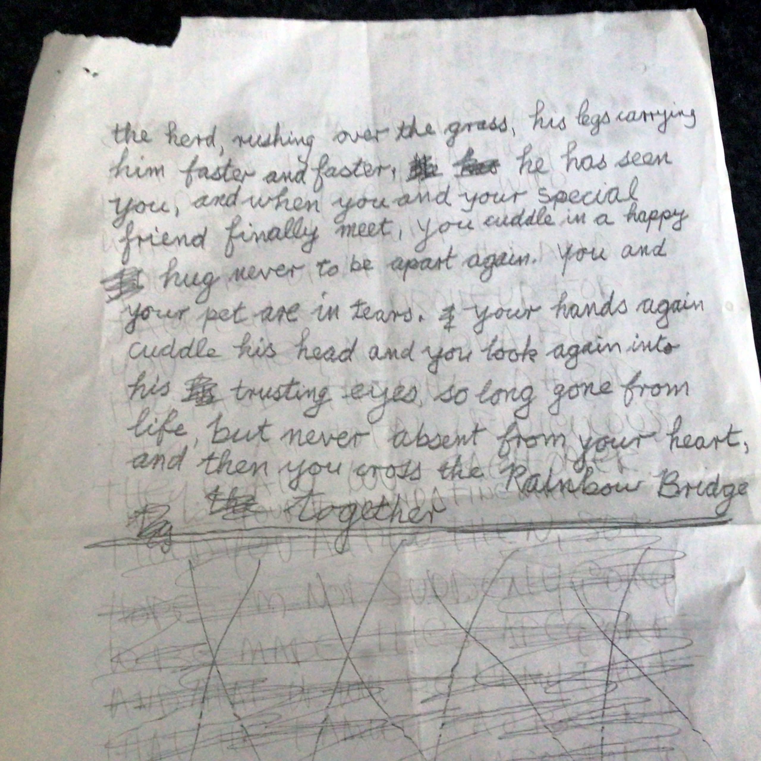 The rear view of Edna's original handwritten version of the Rainbow Bridge, with her sister's writing crossed out at the bottom.