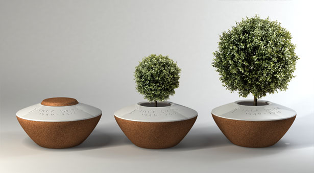 Three urns shaped similar to a bowl with s small opening at the top show the progression of a tree growing out of the urn.