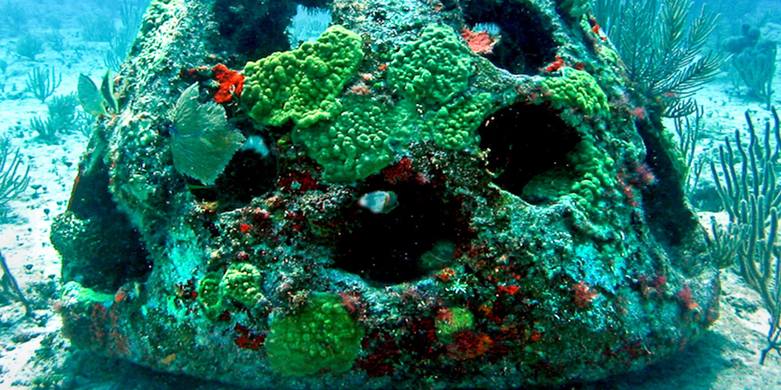 A reef ball underwater covered in moss and coral.