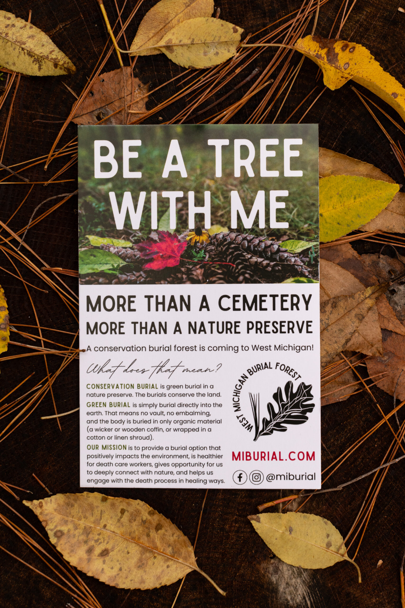 a printed postcard that says more than a cemetery, more than a nature preserve