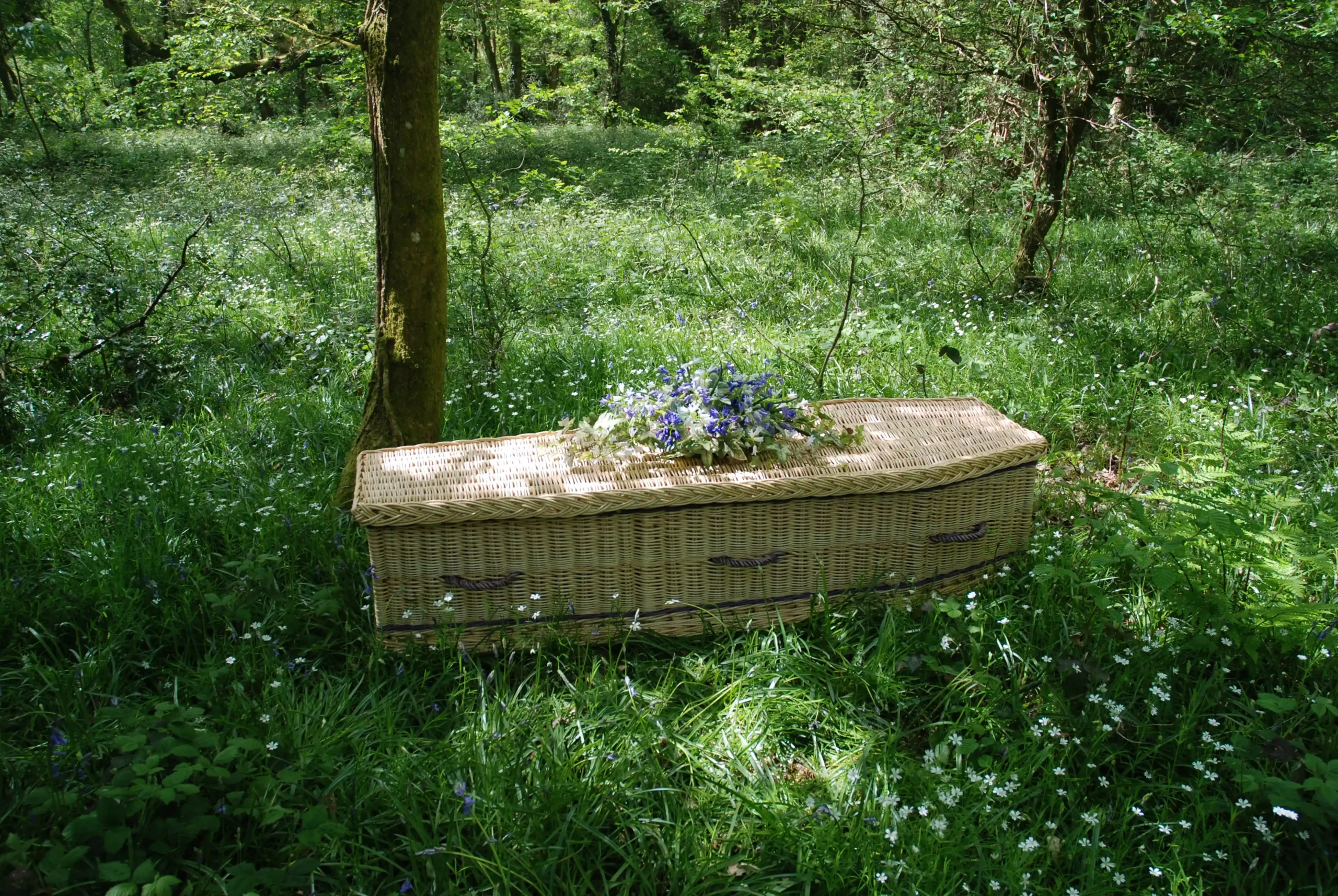 photo of a wicker coffin surrounded by a green landscape outdoors