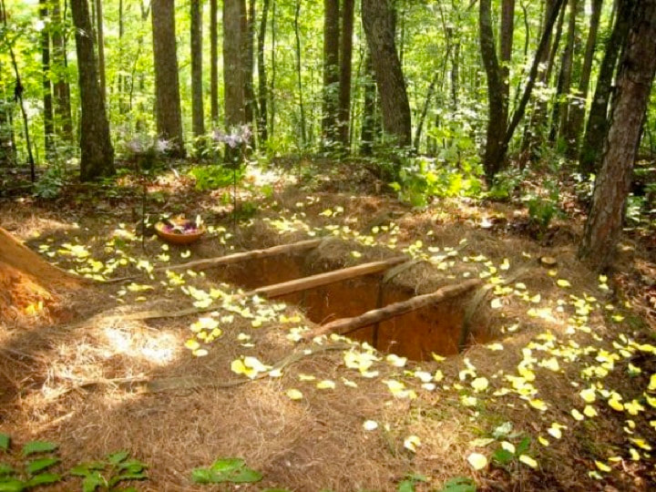 an open grave surrounded by flowers in a forest
